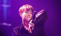 王嘉尔视频爆料大全集最新,揭秘明星幕后生活点滴